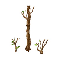 細い木の幹