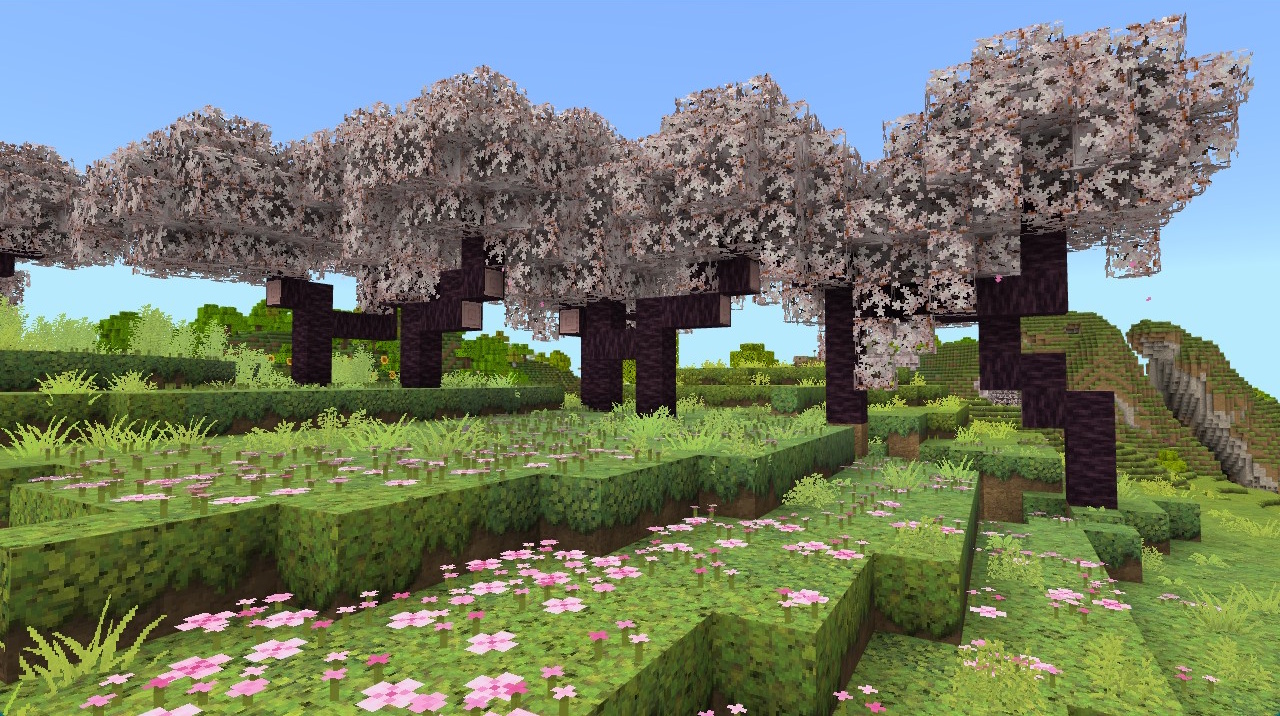 new blocks