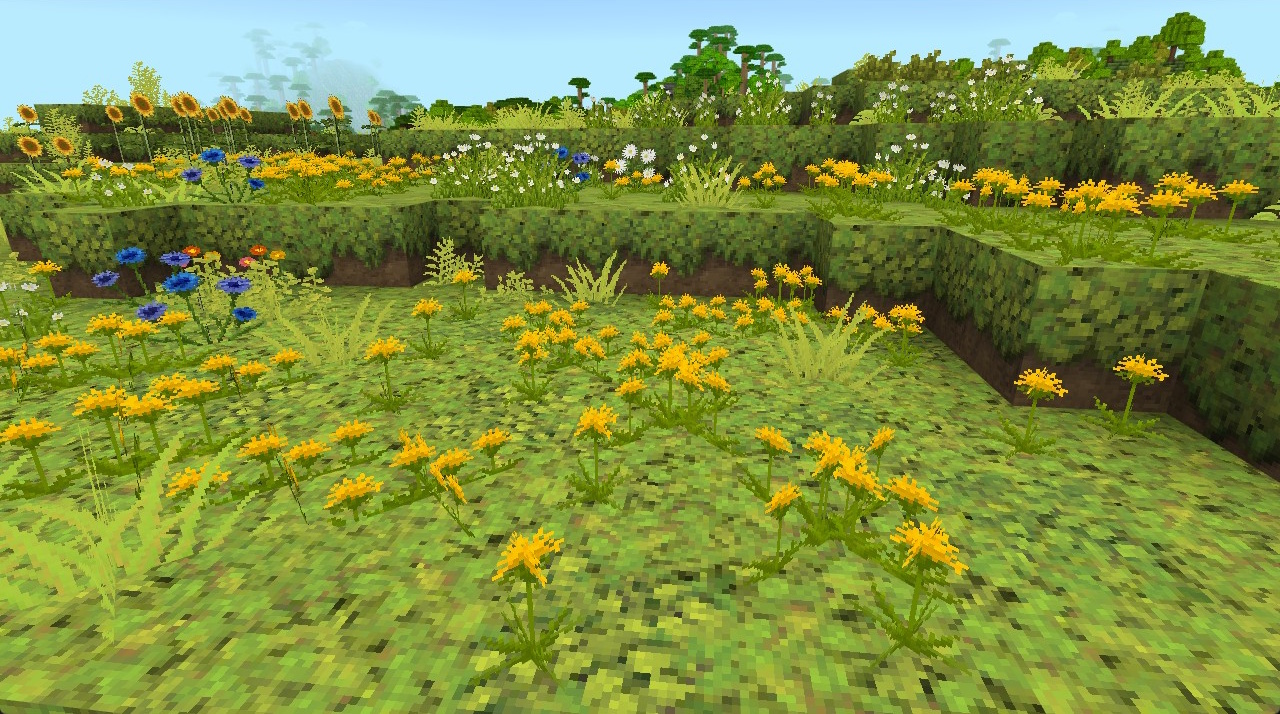 new blocks