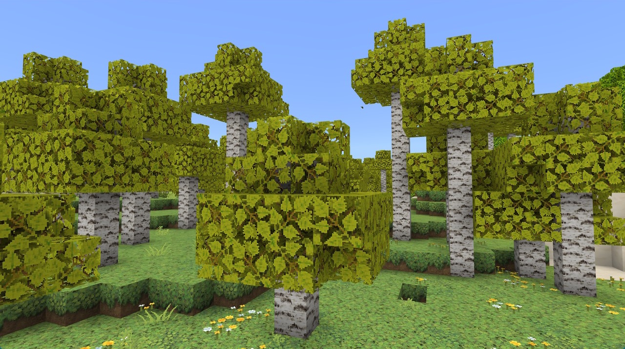 new blocks