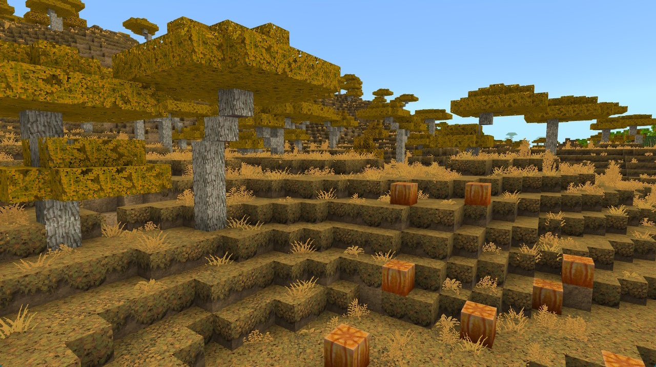 new blocks