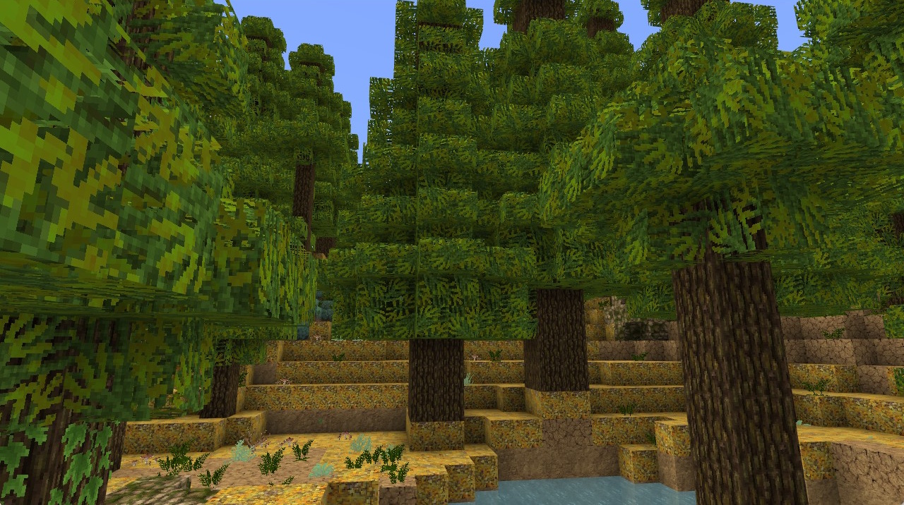 new blocks
