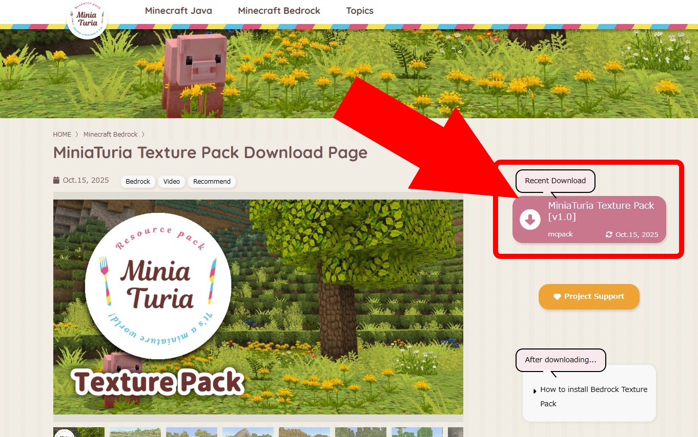 installation-bedrock-texture-pack